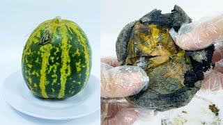 Rotting Melon Decomposition Time Lapse 2021