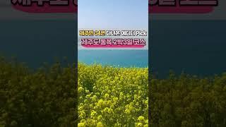 제주도 동쪽 2박 3일 뚜벅이 코스~!