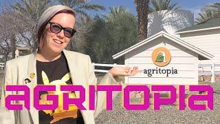 A Tour of the Agritopia Community in Gilbert, Arizona | Small Town Lifestyle in Phoenix Metro