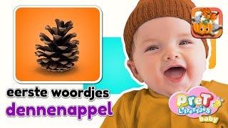 Baby Eerste Woordjes • DENNENAPPEL • Baby tv Nederlandse Baby filmpjes • Eerste Woordjes Leren