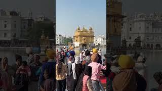 Aar Nanak paar Nanak Gursimran singh | #shortvideo #youtubeshorts  #goldentemple #reels #viralreels