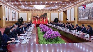 习近平同越共中央总书记、国家主席苏林会谈