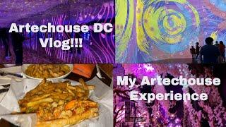 ARTECHOUSE DC Vlog| My Experience |