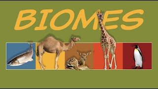 What is a BIOME? Nature's neighborhoods!  Ecology & Environment