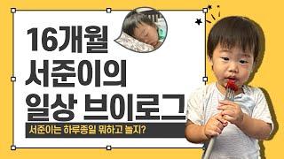 16 Month Old Baby Development Activity / 16개월 아기 서준이의 일상