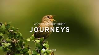 The Most Incredible Sound Journeys