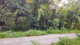 Cebu lot for sale 2,922 sqm clean title Cebu City Philippines 2,500/sqm