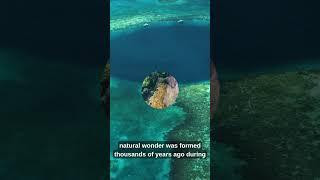 The Mysterious Blue Hole of Belize!