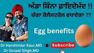 Egg increases good cholesterol! ਅੰਡੇ ਦੇ ਫ਼ਾਇਦੇ !! ਦੇਸੀ ਵਧੀਆ ਹੈ ਕਿ ਨਹੀਂ ! ਖੋਜ ਕੀ ਕਹਿੰਦੀ ਹੈ (195)