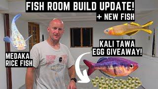 EXCITING FISH ROOM BUILD! NEW FISH AND FREE EGGS FOR YOU! :)