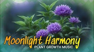 Plant Growth Music!  Moonlight Harmony  Music For Plants! 