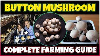 Button Mushroom farming | How to grow Button Mushroom at Home | Button mushroom Cultivation