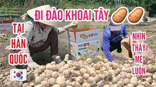 456 ĐI ĐÀO KHOÁI TÂY TẠI HÀN QUỐC NHÌN THẤY HAM