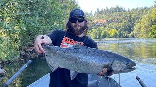 Rogue River SALMON FISHING | Bobber Down!