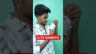 Click here  Cute Rabbits how to care #rabbit #bunny #telugu #viral #shortvideo