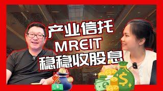 闲聊最抗跌的领域！大马产业信托REIT｜股息收入｜被动收入｜八卦大小文