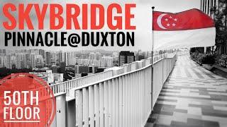 World’s Longest Sky Garden | SkyBridge at The Pinnacle@Duxton | Walk Tour HDB | Singapore 4K