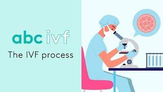 The IVF treatment process at abc ivf