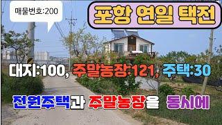 200. 택전리 주말농장 및 전원주택매매 포항주택매매 연일주택매매 택전리 주말농장매매 주말농장과 전원주택을 동시에 위치좋능 밭매매 포항과 가까운 농지매매 포항부동산 연일부동산