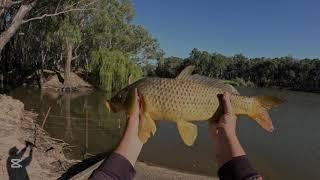 Fishing the Edward River with Bread and Cheese