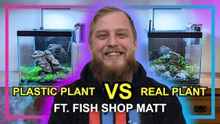 Plastic Plants VS Real Plants | @FishShopMatt Aquascapes Two Aquariums at Our Sales Managers House!