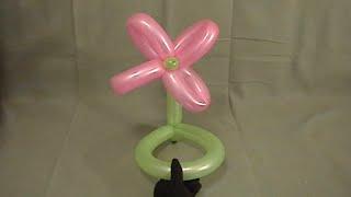 Learn how to make a simple balloon animal flower hat