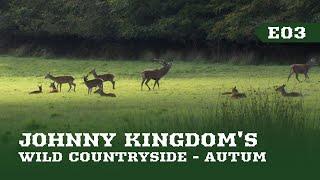 Johnny Kingdom's Wild Countryside | E03 Autumn | Full documentary