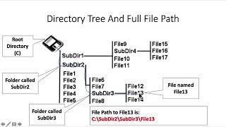 Looping Control Structure Video 3 (Working with files)