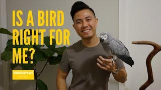 Is a Bird Right for Me?