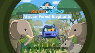 Octonauts: The African Forest Elephants ENGLISH Full Episode ~ A&B SEASON 5 ~ New UK Dub DESCRIPTION