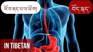 Yoga for stomach ulcer / ཕོ་བ་ནད་པ་ལ་ཡོ་ག།