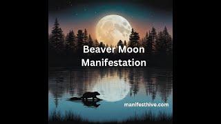 Beaver Moon Manifestation - Embrace the mystical powers