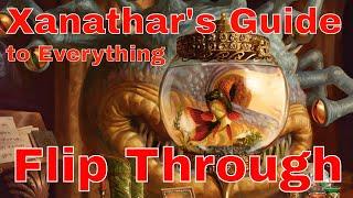 Xanathar's Guide to Everything: Flip Through