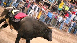 Segunda corrida de toros populares sangolqui 2023