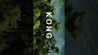 the king kong back #kong #thekone#godzilla #godzillavskong #godzillaxkongthenewempire