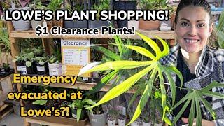 $1 Clearance Plants! Lowe's Big Box Plant Shopping & Plant Haul - Emergency Evacuated At Lowe's!