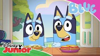  Mini Blue | Blue | Disney Junior Polska