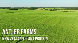 Antler Farms New Zealand Plant Protein - Pure, Clean & Complete