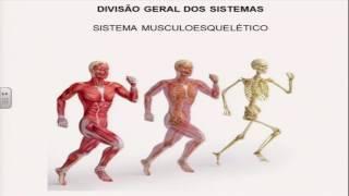 AULA 1 - ATENDIMENTO DE EMERGENCIA