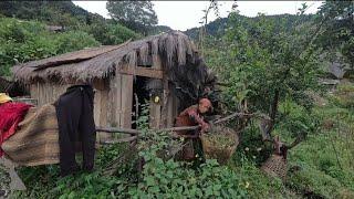 Rural Village Activity In Himalayan Village || Karnali Village || Mulsam Jajarkot || Daily Routine||