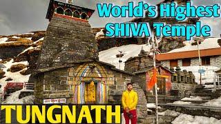 Tungnath Trek - Highest Shiva Temple in the World । Chopta Tungnath Trek in Winter 2023 ।