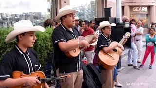 Huapangos por Eco Potosino - El Querreque, El Caimán, El Gusto, El Aguanieve, La Petenera y La Leva