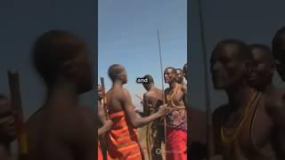 The Mesmerizing Dance of the Maasai Warriors | #news  #maasai #africantraditions #shorts #viralvideo