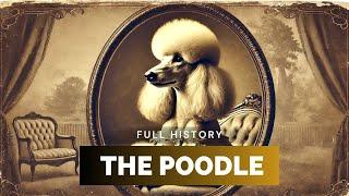 Poodle - Full History