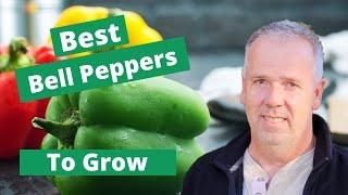 5 Best Bell Peppers to Grow