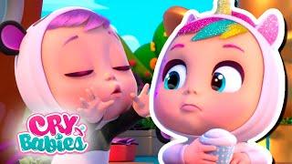 Niesamowite Babies | CRY BABIES  MAGIC TEARS  Bajki dla DZIECI po POLSKU 