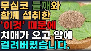 들깨와 함께 먹으면 보약되는 음식 4가지와 절대 먹으면 안되는 음식 4가지 특급 레시피! 무릎통증 사라지고 치매예방까지! 값비싼 영양제 대신 '이것'드세요![치매,관절염]