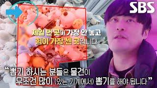 인형만 13만 개 뽑은 달인이 알려주는 뽑기 노하우 대방출