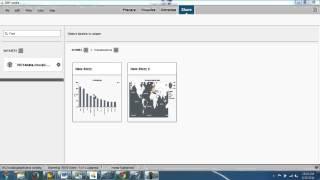 SAP Lumira 1.17 Storyboard Slide