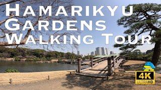 [4K] HAMARIKYU Gardens Tokyo  Walking Tour / 浜離宮恩賜庭園 2023初春 散歩